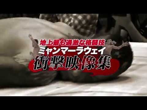 LETHWEI ラウェイ衝撃映像集 02 日本語