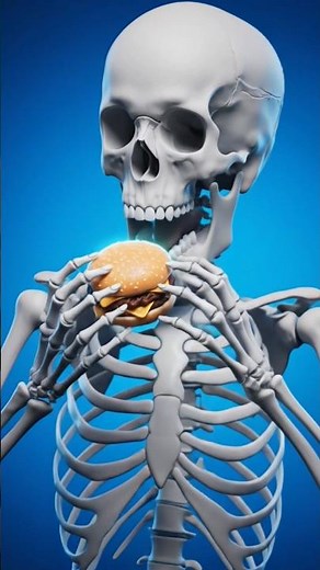 How Food Turns Into Poop Inside Your Body 🚽 (Animated)