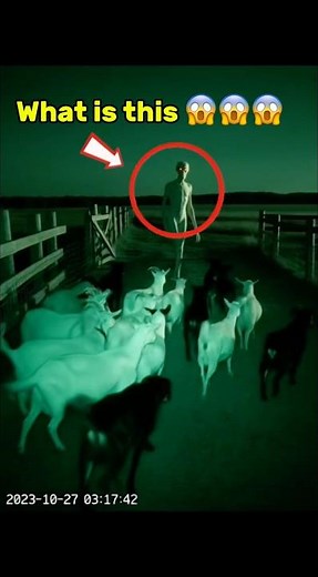 Scary Backyard Creature Caught on AI Camera 😱 #shorts