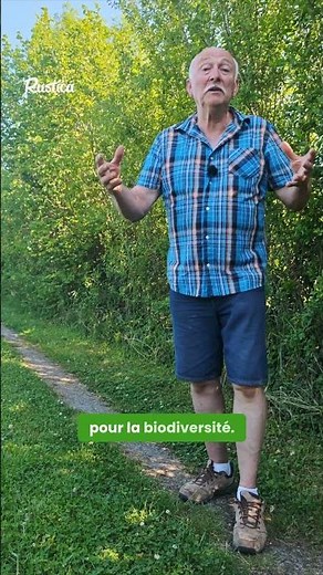 🌿 Protégez votre potager du soleil brûlant !