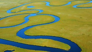 The Okavango Delta is INSANE