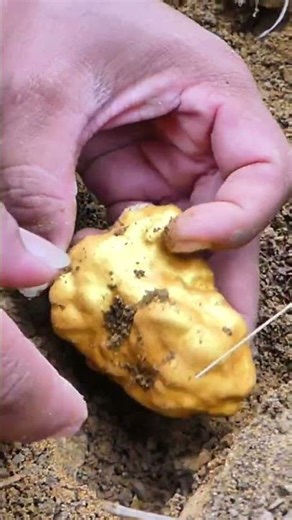 we found Gold | #goldhunting #gold #metaldetecting #treasure #shorts