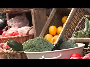 Food Science and Nutrition