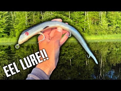 Musky Fishing With a Crazy Eel Lure!!