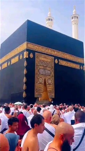 Subhan Allah walhumdolila #islamicvideo #islamicstatus #beautiful