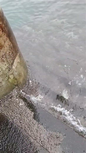 Dallas Road Swin Pavilion Staircase