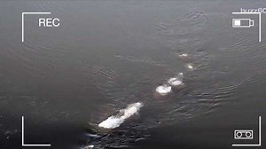 Loch Ness Monster in Alaska?