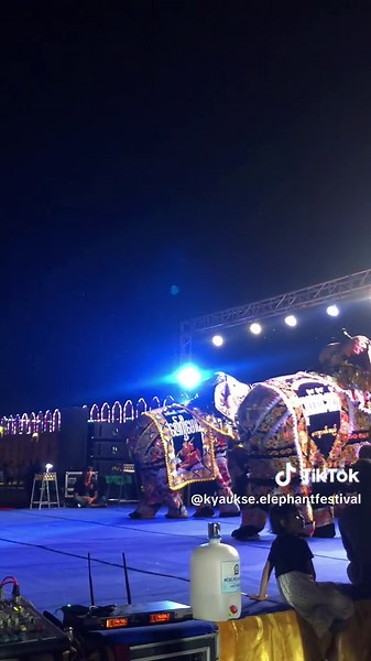 Kyaukse Elephant Dance #kyaukseelephantdance #elephantdance #kyaukseelephantfestival #kyaukse#myanmar #fyp #foryou