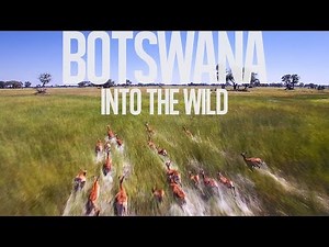 Botswana - Into The Wild