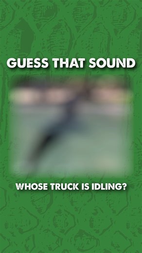 Have you ever heard an alligator bellow? This unique sound is produced by male alligators to establish territory and assert dominance over other male alligators in the area. Learn other wild gator facts today and tomorrow as we close out Gator Week! Plan your day at: www.GatorWeek.com | Wild Florida