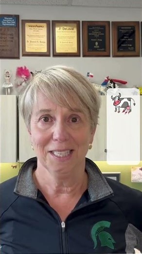 Clinical mastitis and subclinical mastitis both contribute to somatic cell count #mastitisminute