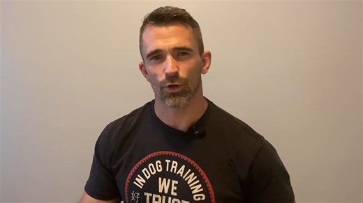 What Tom Rose says most people misunderstand about training their dogs