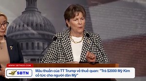 Saigon Broadcasting Television Network on Reels