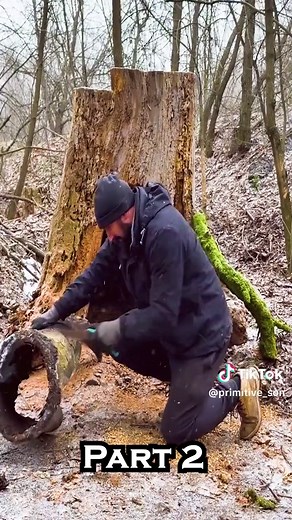 Building a Tree Stump Shelter for Extreme Survival