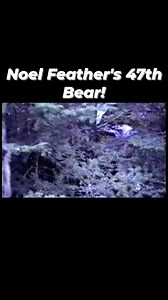 Bear Bust'n! | Stoney Wolf Outdoors