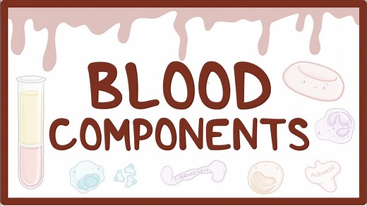 Blood components: Video, Causes, & Meaning | Osmosis