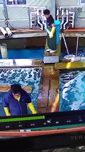 TikTok의 후끈후끈