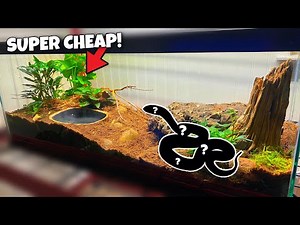 Corn Snake Setup (CHEAP AND EASY!)
