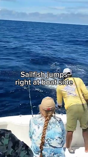Mastering Sailfish Fishing Techniques for Anglers