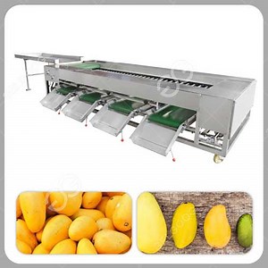 Automatic Mango Fruit Sorting Machine