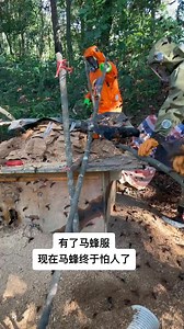 21K views · 192 reactions | Safely removing a hornet nest!  #BeeProtection #WildBees | Way of Nature | Facebook