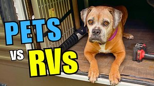 RVing with pets can be a great adventure but when we travel with dogs and cats in our campers we need to take some additional steps to maintain a safe environment for them. Here are the services and gear that make RVing with dogs and RVing with cats a much smoother and less stressful experience for everyone. ♦♦ _*RV Info Cheat Sheet*_ https://rvgearandfar.com/rvinfosheet ♦♦ *This video is NOT SPONSORED - all the views, opinions, and experiences expressed are my own.* _*DISCLAIMER* We participate