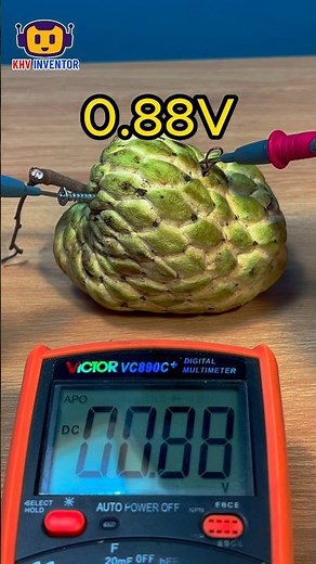 Unveiling Nature's Power: Which Fruit Generates the Most Electricity?