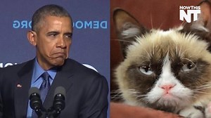 250K views · 2.3K reactions | Remember when President Obama compared Republicans to The Official Grumpy Cat? #NT100Days | NowThis | Facebook
