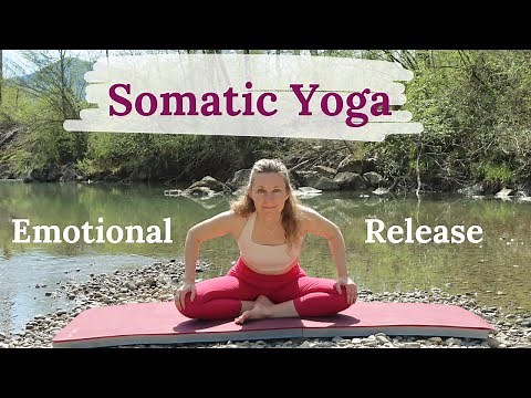 20 Minute Morning Somatic Yoga for Beginners | Let Go Of All That No Longer Serves You