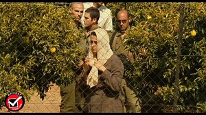 4K views · 160 reactions | Salma, uma viúva palestina, vê sua...