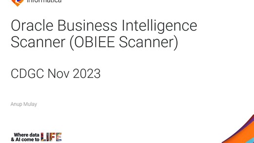 CDGC 2023年11月版本中的Oracle商业智能扫描器（OBIEE扫描器）