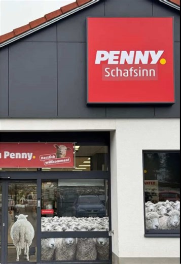Penny: Von Burgsinn zu Schafsinn 🐑