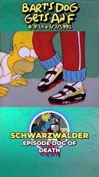 Assassins Sneaker Lore #thesimpsons #thesimpsons #jimrearden #shorts