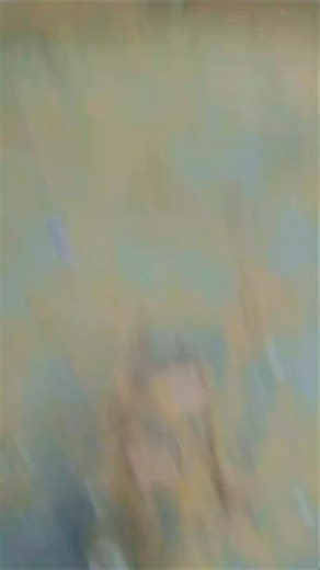 Adil Khan Adil Khan on Instagram: "#🪚🪚🪚🪚🪚🪚🪚⚒️⚒️🔨🔨⚒️🪛🪛🪛😎🦅"