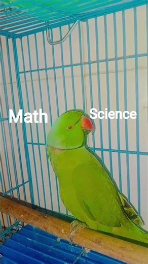 math vs science