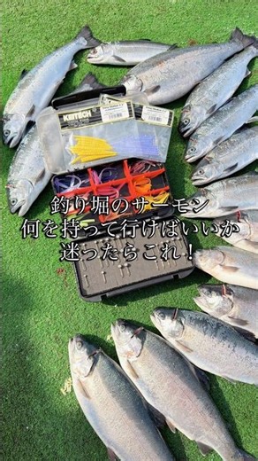 釣り堀のサーモン🎣何を持って行けばいいか迷ったらこれ！ #釣り #釣り初心者 #釣堀 #釣り堀 #サーモン釣り