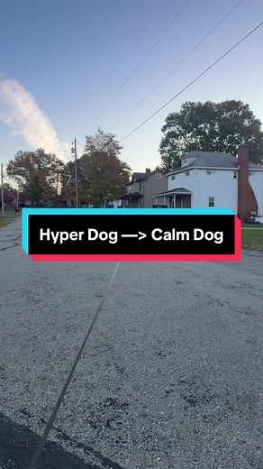 Effective Strategies for Settling Hyper Dogs