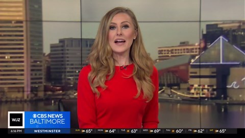 Engineers building drones that use echo-location, inspired by bats