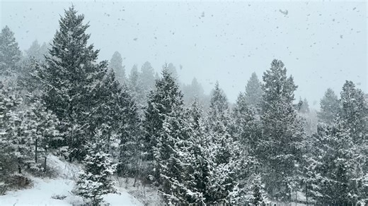 Beginning to globe in Cascade CO. | Colorado Storm Chasers