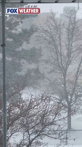 VIDEO OF THE WEEK: It's time for the viewer video of the week! Check out this video of horizontal lake-effect snow blowing in Buffalo, New York sent in by Laurie on Saturday morning. Want to see your photos and videos featured on FOX Weather? Visit foxweather.com/connect to send in your content for us to see! | FOX Weather