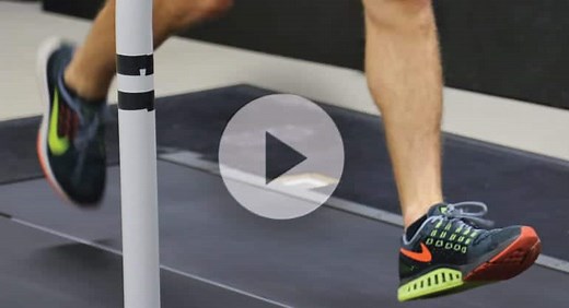 How fast could a human theoretically run? - Morgridge Institute for Research