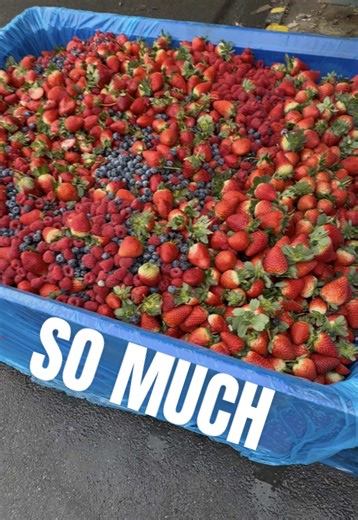 The Life of a Truck Driver: Hauls and Surprises