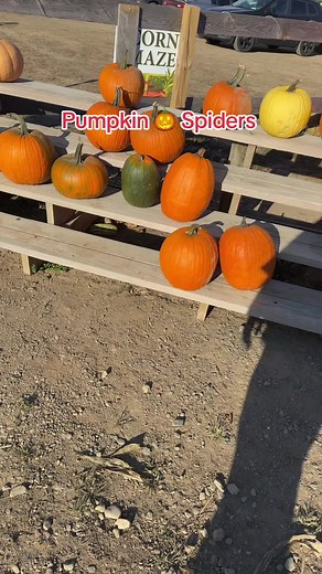 Pumpkin Spiders: Creative Halloween Carving Ideas