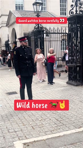 Guard Observes Horse Carefully in Unique Encounter