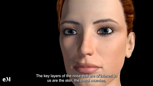 Nose Anatomy