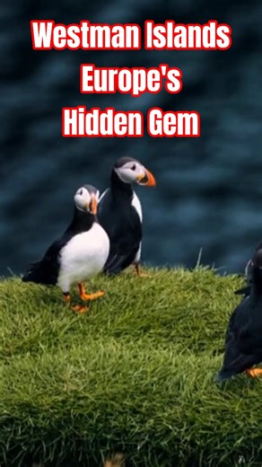 Westman Islands Wonders | Europe's Hidden Gem!