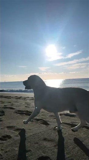 Quiet, Shared Morning