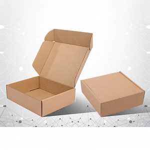[Hot Item] Air Parcel Packaging Recycled Materials Eco-Friendly Custom Packaging Aircraft Box