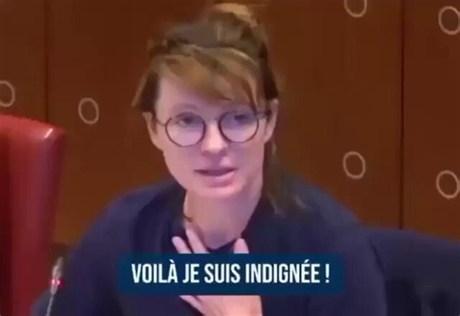 Les députés LFI déposent donc un amendement pour autoriser les terroristes à s'occuper des enfants placés à l'ASE (aide sociale à l’enfance)...