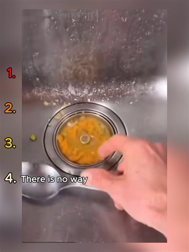 Understanding Canine Behavior: Judging Your Dog's Actions